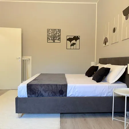 Masca Bolo Apartamento Bolonia